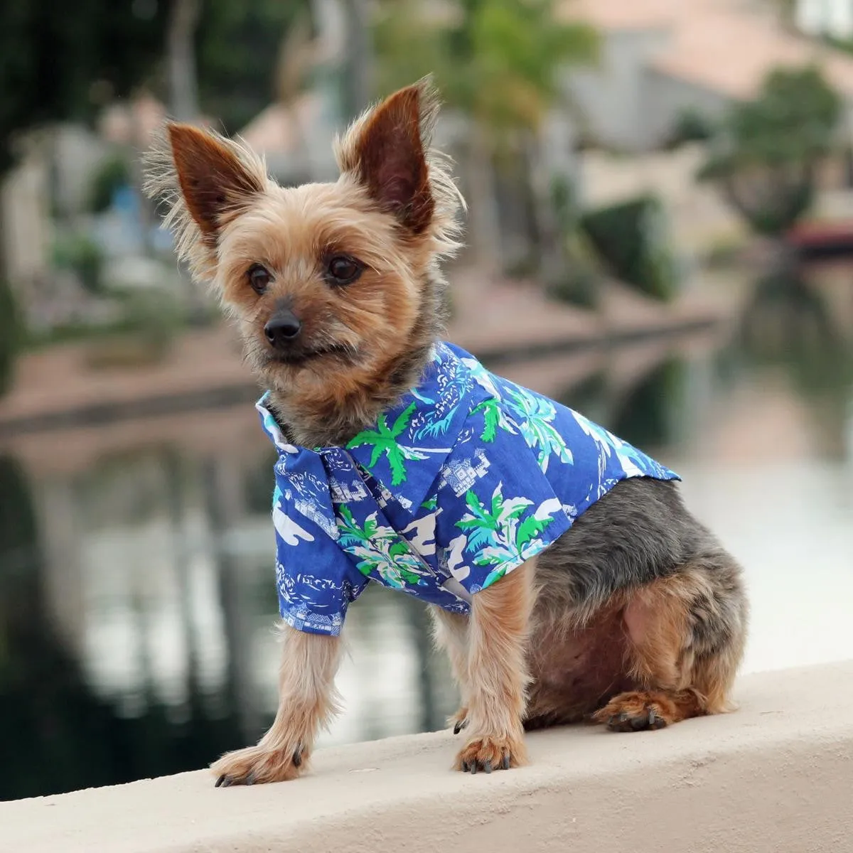 Hawaiian Dog Shirts