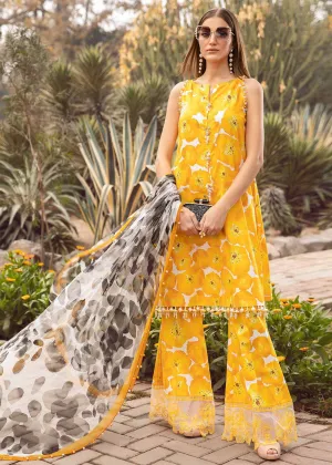 M.Prints Spring Summer Lawn Edit '24 by Maria B | MPT-2112-B