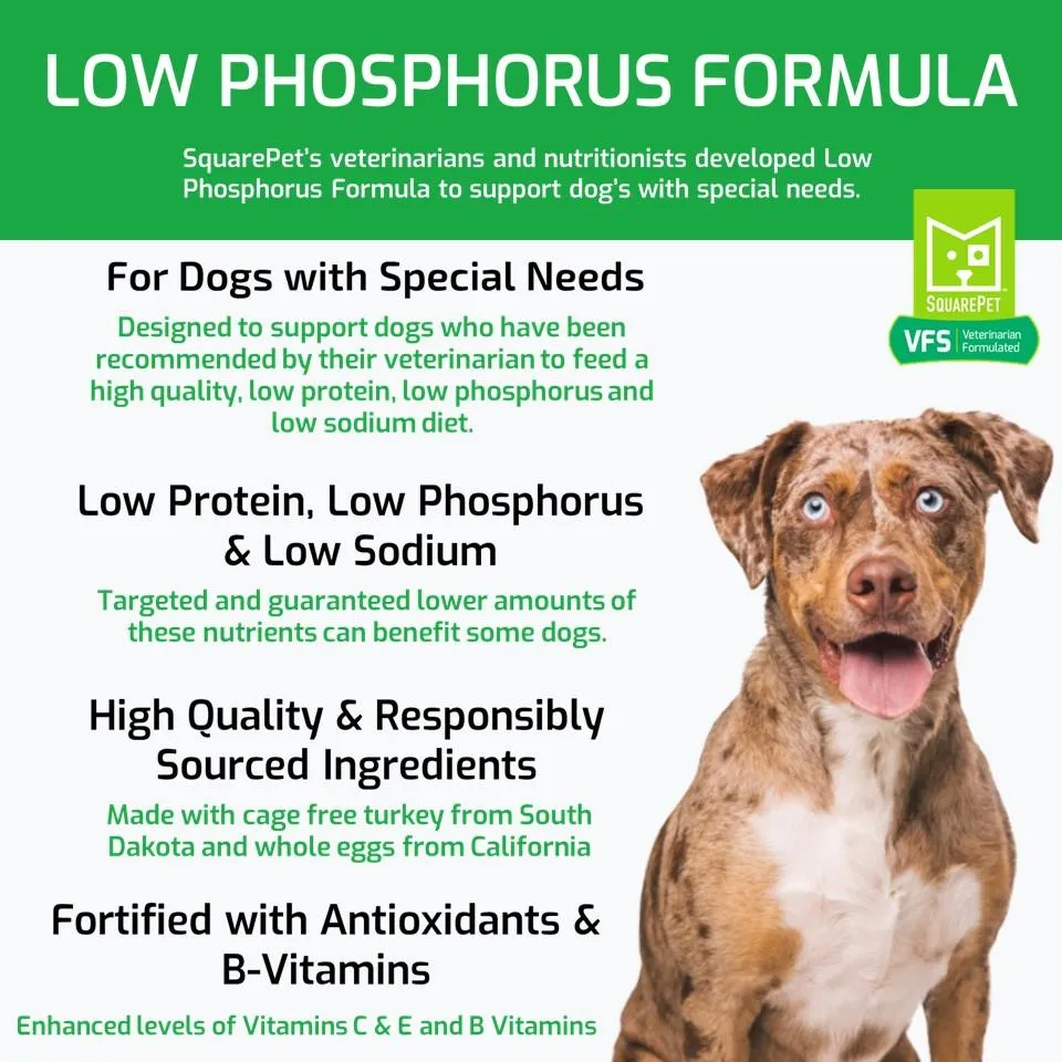 SquarePet VFS Canine Low Phosphorus Formula